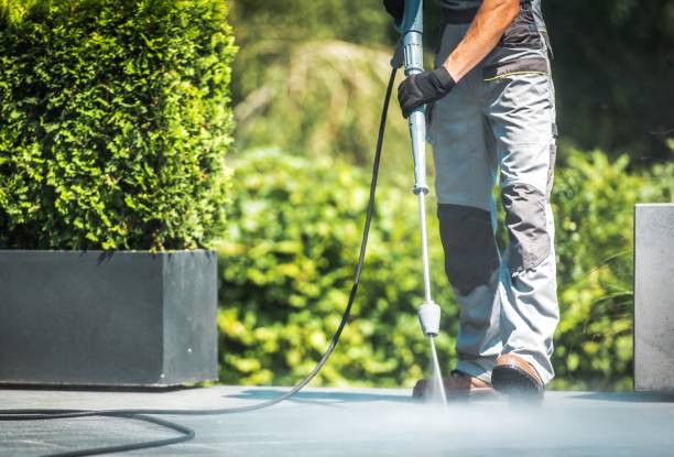 Best House Exterior Washing  in Lewistown, IL